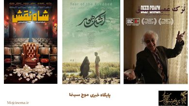 اخبار جشنواره فجر در موج سینما